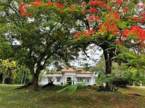 Chandana1941